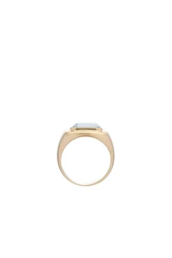 Large Ring in 18K Yellow Gold & Howlite Stone
