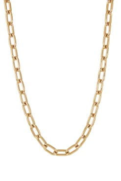 Medium Link Necklace in 18K Yellow Gold (Classic Links)