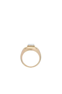 Medium Ring in 18K Yellow Gold & Howlite Stone