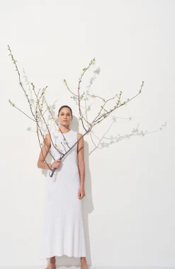 Meier Knit Midi Dress in Ivory Merino Wool Cashmere