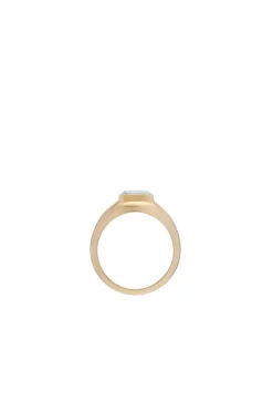 Small Ring in 18K Yellow Gold & Howlite Stone